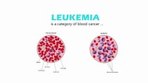 Leukemia treatment in India I Blood cancer treatment cost in India