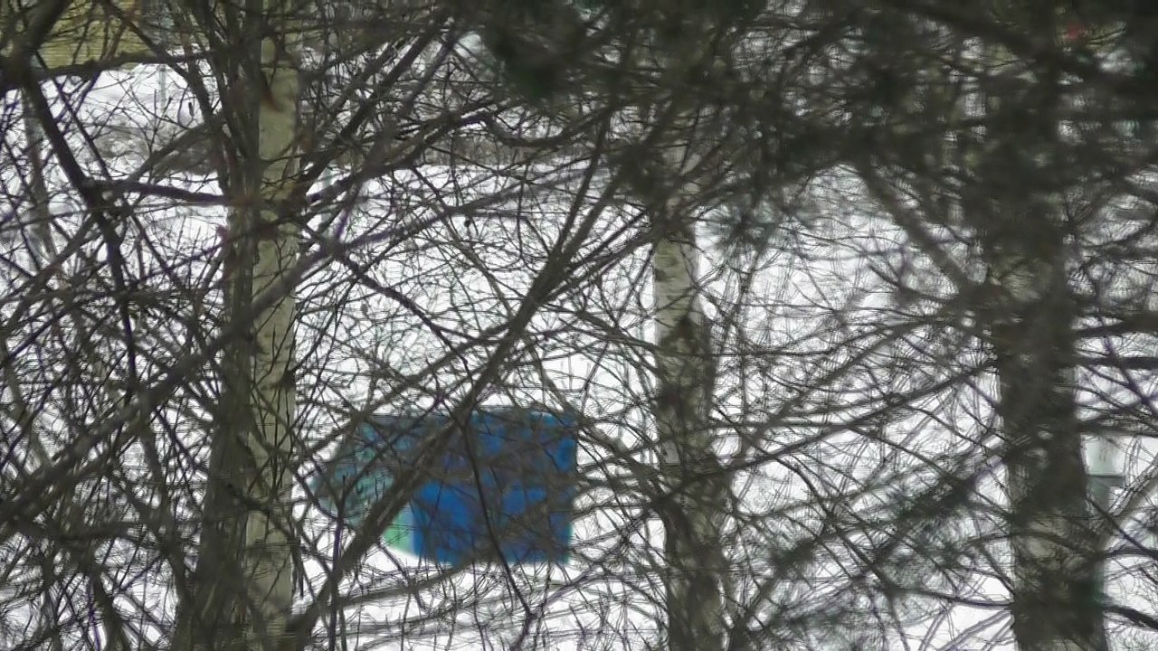 March 8 2018 DL5