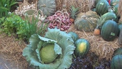 Organic farming boost in northeastern Thailand