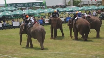 Bangkok acoge la Copa del Rey de Polo con elefantes