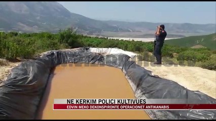 Shpallet në kërkim polici kultivues Edvin Meko - News, Lajme - Vizion Plus