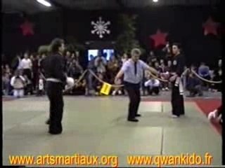 Qwan Ki Do Coupe de France 94 finale gradés