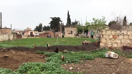 Teröristlerin Tanksavarla Yaraladığı Siviller Güvenli Bölgede - Afrin