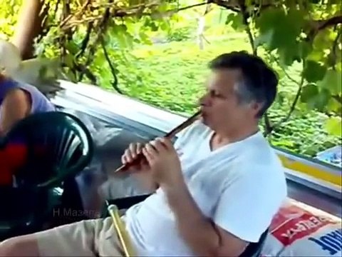 Instrumentos musicales del mundo parte 4 - Instrumentos de Viento afines a la flauta..mp4