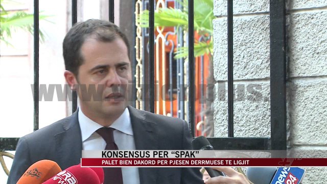 Konsensus për “SPAK” - News, Lajme - Vizion Plus