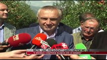 “E ardhmja e Shqipërisë bujqësia, jo kanabisi” - News, Lajme - Vizion Plus