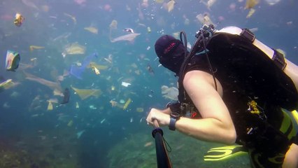 Un plongeur filme un océan de déchets dans les eaux de Bali et les images sont impressionnantes !