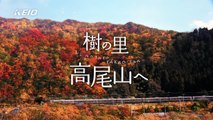 JAPANESE COMMERCIALS | new HIGHLIGHTS | WEEKS 44/45