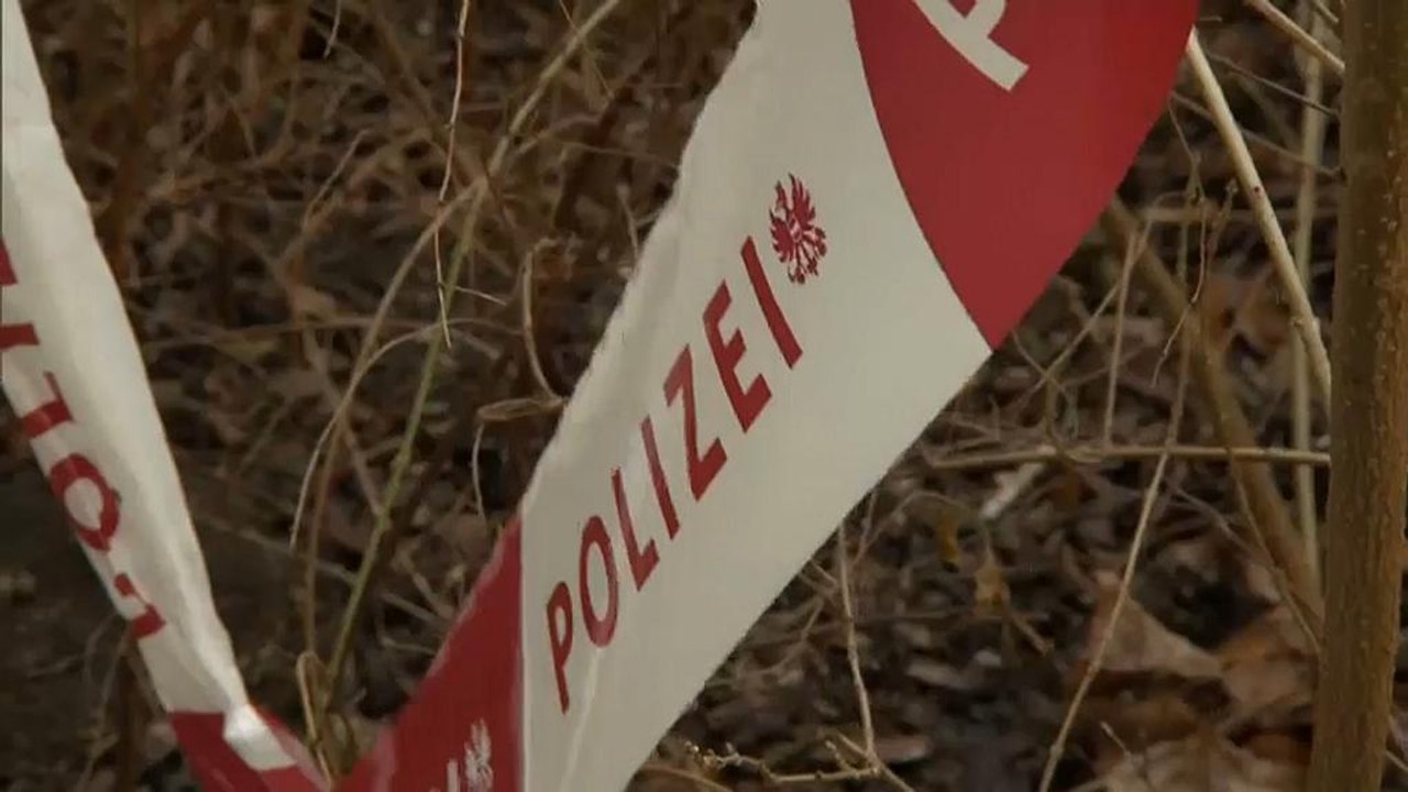 Wien: Messerstecher gesteht