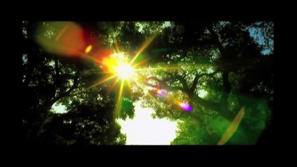 Asheville Solar - Sundance Power Systems Inc