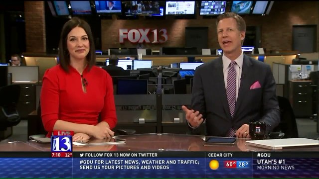 Penguins Spot Camera, Take Selfie Video