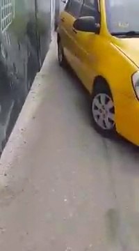 Il n'apprécie pas que les voitures soient garées sur le trottoir et decide de grimper dessus