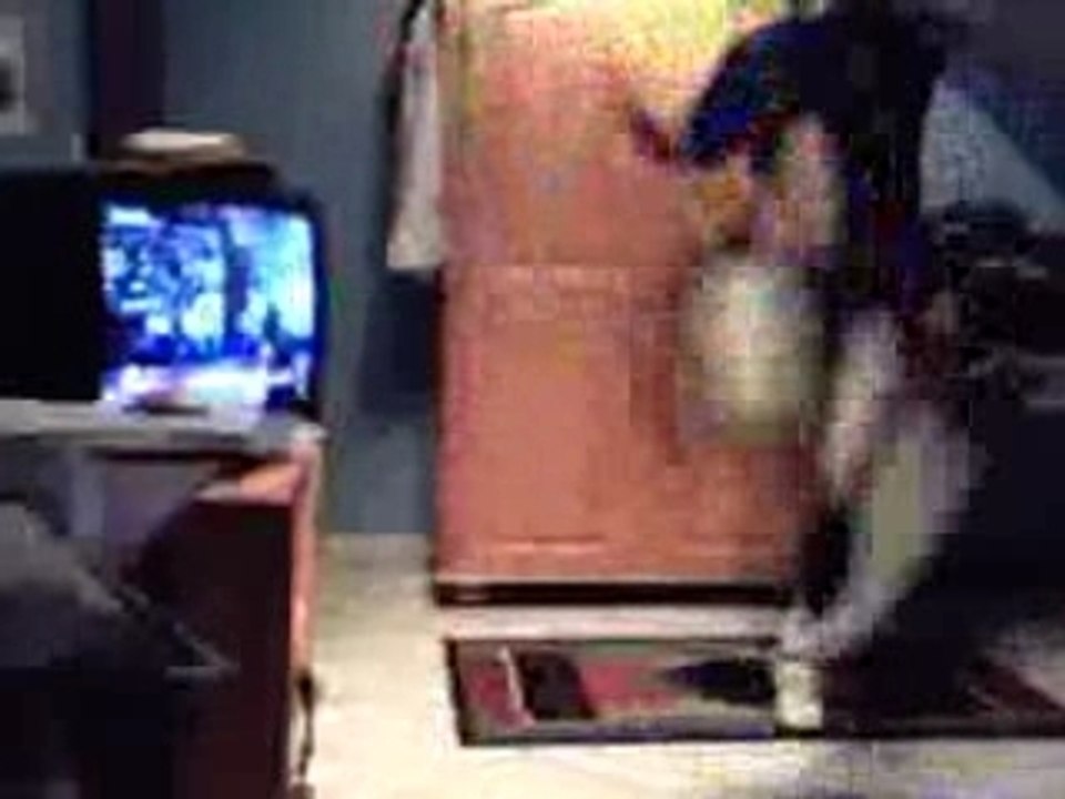 Video0226