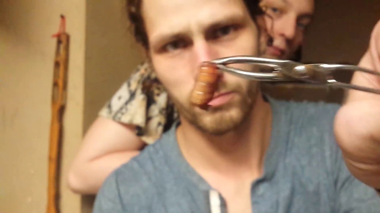 Ils retirent une enorme larve qui grossissait dans le cou de ce chaton