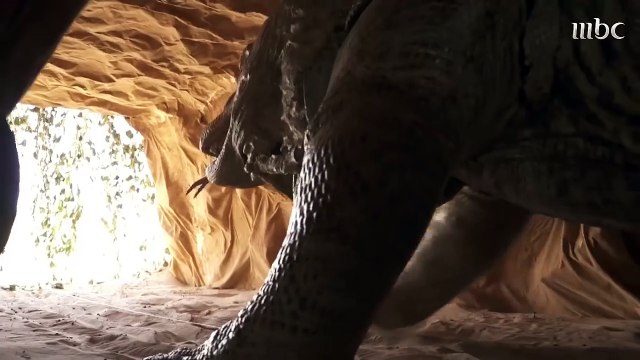 النجم رمضان صبحي ينطق الشهادة فور رؤيته لـ سحلية رامز