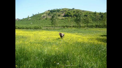 Yomra Oymalıtepe Köyü