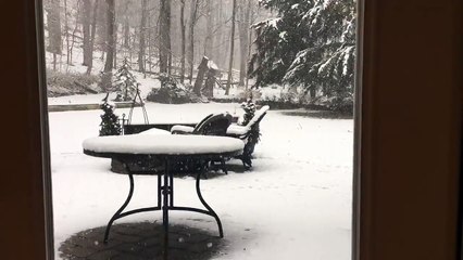 Winter Storm Timelapse