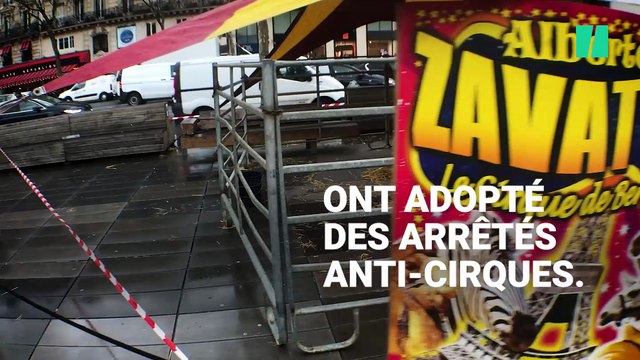 À Paris, des chameaux et des zèbres sur les pavés de République pour s'opposer aux anti-cirques