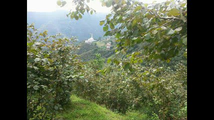 Yomra Şanlı Köyü