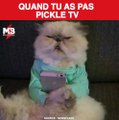 La vie est parfois cruelle via Newsflare