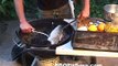 Grilled Fish recipe by the BBQ Pit Boys