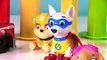Paw Patrol Play Doh Colorful Shapes Children