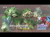 오늘 아침 '주부생활 백서' - 초저렴 김장 방법!, #03 20131115