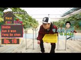 [Next door CEOs] 옆집의CEO들 - pick strawberries Don team 20160401