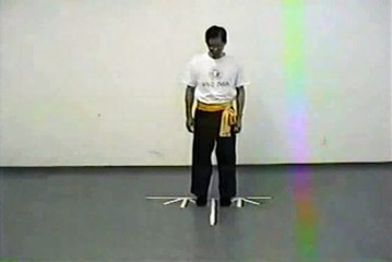 Wing Chun with Terence Yip Basic Techniques 1 Part 4