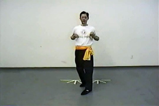 Wing Chun with Terence Yip Basic Techniques 1 Part 5