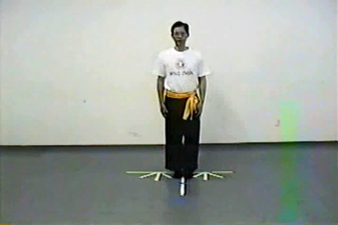 Wing Chun with Terence Yip Basic Techniques 1 Part 9
