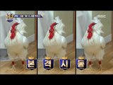 [Ranking Show 1,2,3] 랭킹쇼 1,2,3 - A good-looking chicken 20171013