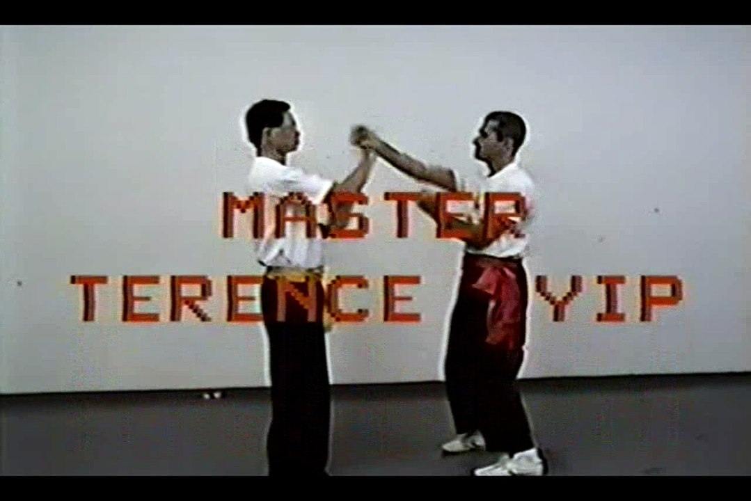 Wing Chun with Terence Yip Basic Techniques 2 Part 1