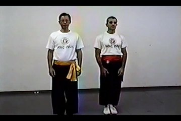 Wing Chun with Terence Yip Basic Techniques 2 Part 4