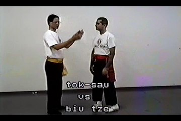 Wing Chun with Terence Yip Basic Techniques 2 Part 6