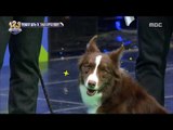 [Ranking Show 1,2,3] 랭킹쇼 1,2,3 - A stunning stage with dogs 20180126