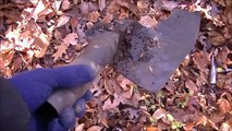 You Wont Believe Whats On This Tree! Amazing Discovery While Metal Detecting in The Woods