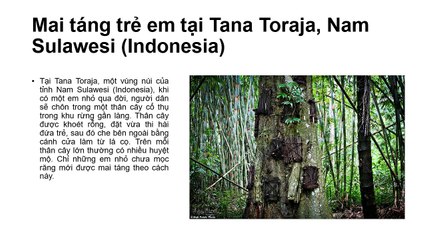 Những phong tục dịch vụ tang lễ trọn gói kỳ lạ trên thế giới