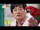 [People of full capacity] 능력자들 - Parrot's cute tricks parade 20160630