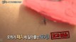 [HOT] 컬투의 베란다쇼 - 모기 퇴치용품의 효과와 가정의 모기 위험 요소 20130821