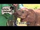 [Infinite Challenge] 무한도전 - Junha&myungsoo, take care of baby elephant  아기 코끼리를 돌보게 된 하&수 20150530