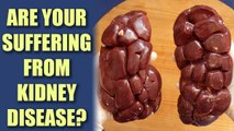 Warning Signs That Your Kidneys Are Damaged | BoldSky