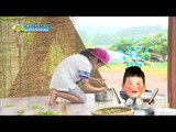 역시 부부싸움은 칼로 물베기! 후와 세윤이의 아침밥짓다 싸우다 그리고 화해하다..♥, #16, 일밤 20140720