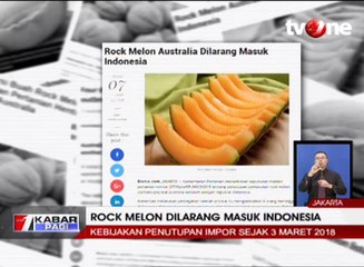 Rockmelon Dilarang Masuk ke Indonesia