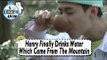 [I Live Alone] Henri - He Finally Tasted Water Down From Jeju Mountain 20170505
