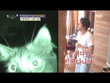 [Forty puberty] 사십춘기 - Kwon Sang-woo's dolphin shouting to the cat 20170211