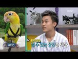[People of full capacity] 능력자들 - Parrot mania's pet Green winged macaw 20160630