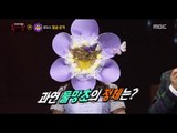 [King of masked singer] 복면가왕 - 'Don't forget me a forget-me-not' Identity 20160925