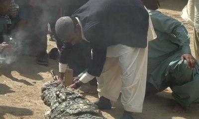 Festival Unik di Memberi Makan Buaya Dengan Manisan