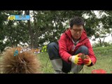 밤따기에 신난 민국이네와 지아네, #12, 일밤 20131027